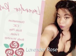 Lavender_Rose