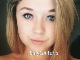 LillyLantana
