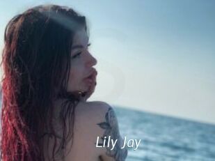 Lily_Jay Porn Star