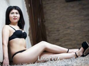 LinaFeiX