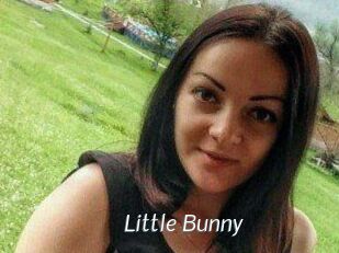 Little_Bunny_