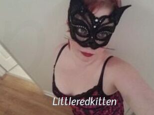 Littleredkitten