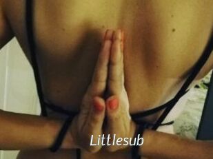Littlesub
