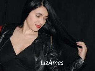 LizAmes