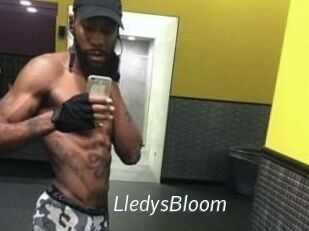 Lledys_Bloom