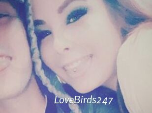 LoveBirds247