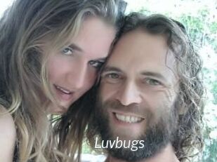 Luvbugs