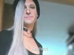 Lamboi