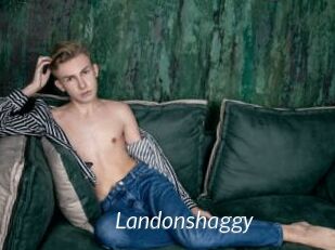 landonshaggy Porn Star