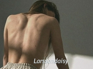 Larssondaisy