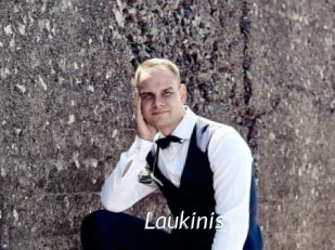 Laukinis