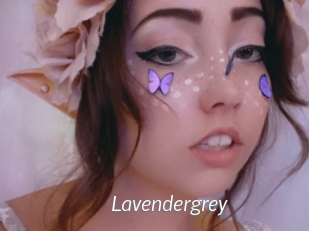 Lavendergrey