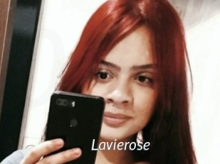 Lavierose
