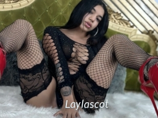 Laylascot