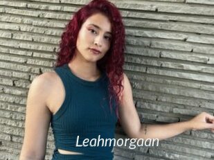 Leahmorgaan