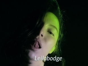 Leilabodge