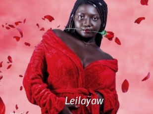 Leilayaw