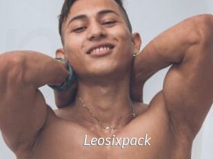 Leosixpack