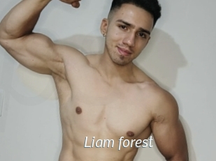 Liam_forest