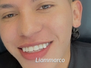 liammarco Porn Star