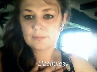 Libellule39