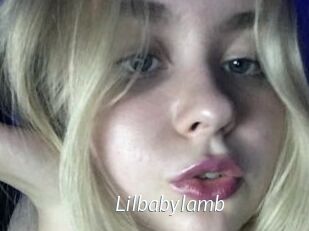 Lilbabylamb