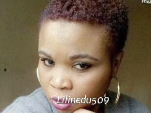 Lilinedu509