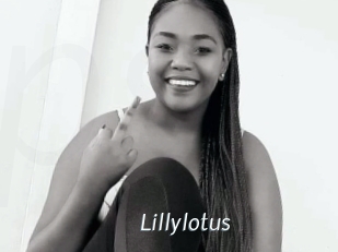 Lillylotus