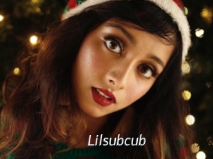 Lilsubcub