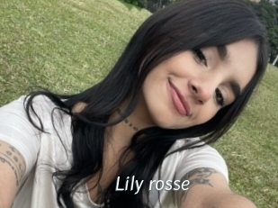 Lily_rosse