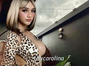 lilycarolina Porn Star