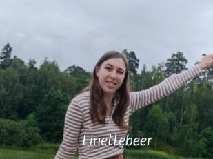 Linettebeer
