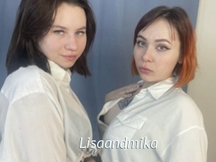 Lisaandmika