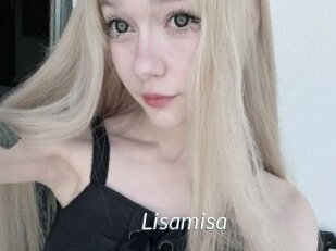 Lisamisa