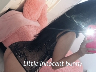 Little_innocent_bunny