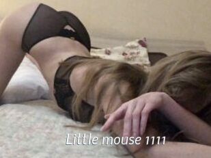 Little_mouse_1111
