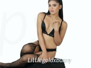 Littlegoldxbunny