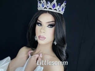 Littlesamm