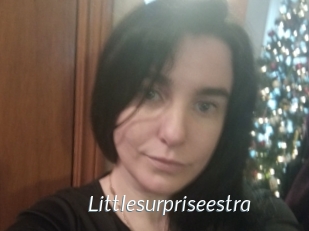 Littlesurpriseestra