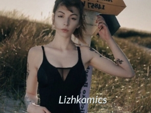 Lizhkamics