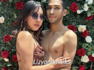 Lizyandmarks