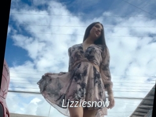 Lizziesnow