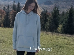 Lladybugg
