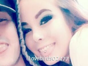 Lovebirds02477