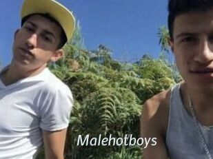 Malehotboys