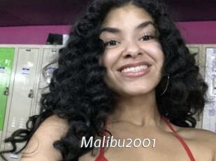 Malibu2001