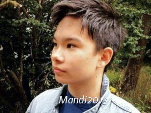 Mandi2013