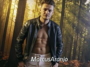 MarcusAranjo