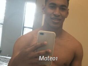 Mateo1