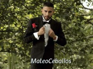 MateoCeballos